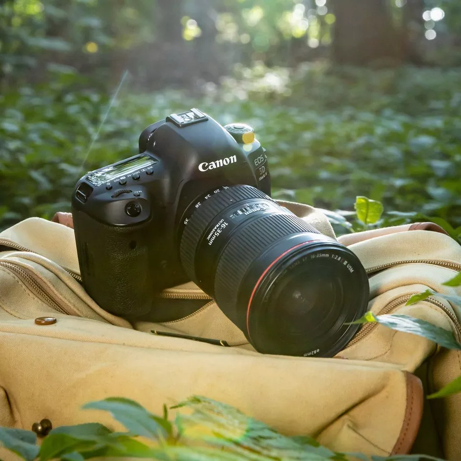 appareil photo en nature