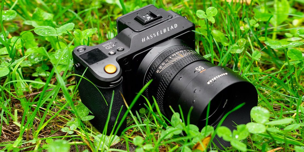 Appareil photo dans l'herbe vue de haut